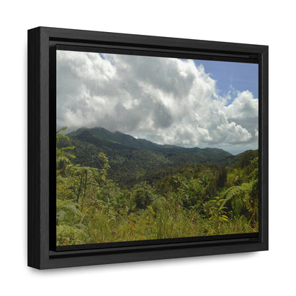 Rainforest Trails & Views - Gallery Canvas Wraps, Horizontal Frame - El Yunque National Forest - Puerto Rico - View from PR191 closed forest road - Green Forest Home