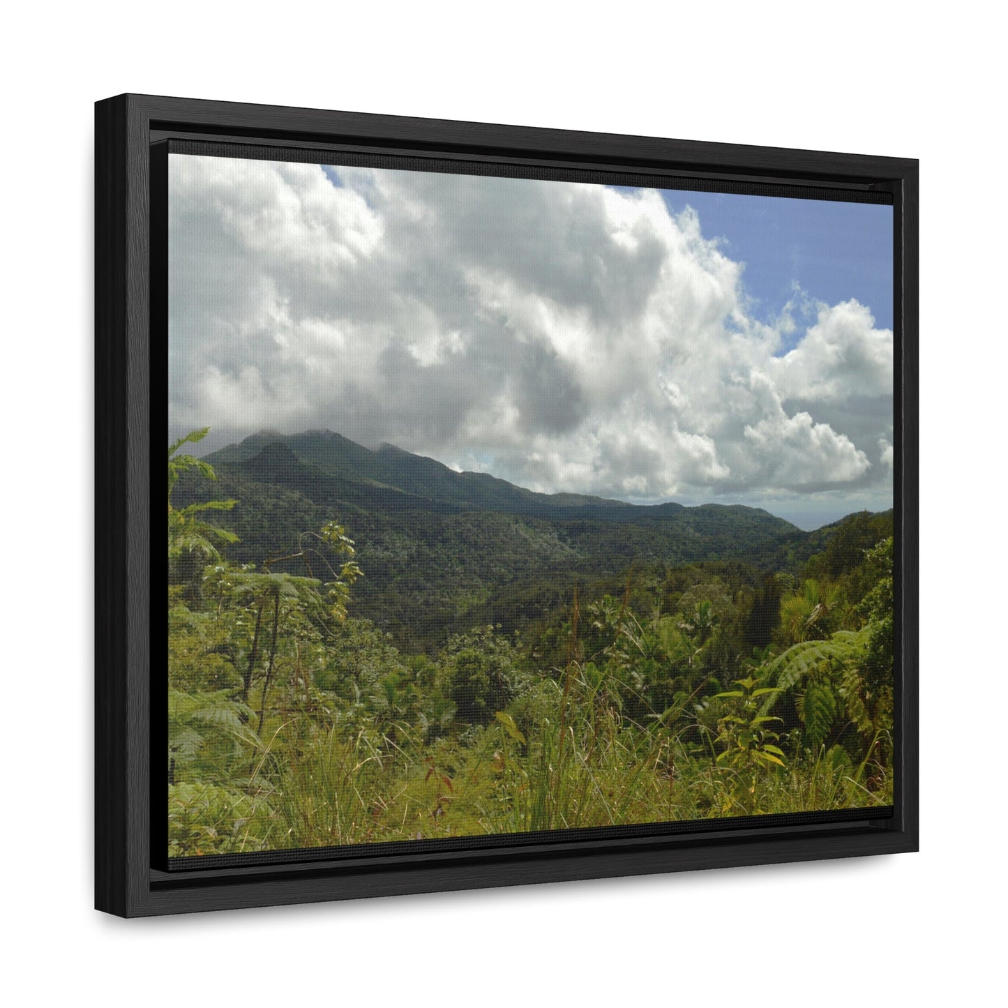 Rainforest Trails & Views - Gallery Canvas Wraps, Horizontal Frame - El Yunque National Forest - Puerto Rico - View from PR191 closed forest road - Green Forest Home