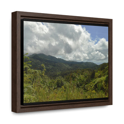 Rainforest Trails & Views - Gallery Canvas Wraps, Horizontal Frame - El Yunque National Forest - Puerto Rico - View from PR191 closed forest road - Green Forest Home