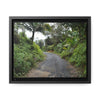 Rainforest Trails & Views - Gallery Canvas Wraps, Horizontal Frame - El Yunque National Forest - Puerto Rico - View from PR191 closed forest road - Green Forest Home