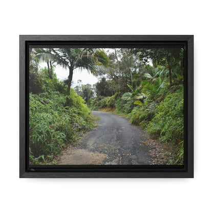 Rainforest Trails & Views - Gallery Canvas Wraps, Horizontal Frame - El Yunque National Forest - Puerto Rico - View from PR191 closed forest road - Green Forest Home