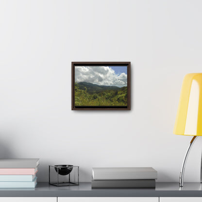 Rainforest Trails & Views - Gallery Canvas Wraps, Horizontal Frame - El Yunque National Forest - Puerto Rico - View from PR191 closed forest road - Green Forest Home