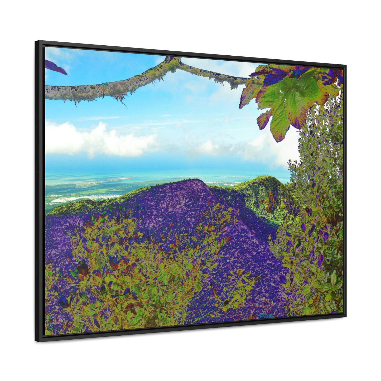 Rainforest Trails & Views - Gallery Canvas Wraps, Horizontal Frame - El Yunque National Forest - Puerto Rico - View from Tres Picachos - color enhanced - Green Forest Home