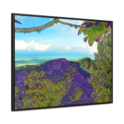 Rainforest Trails & Views - Gallery Canvas Wraps, Horizontal Frame - El Yunque National Forest - Puerto Rico - View from Tres Picachos - color enhanced - Green Forest Home
