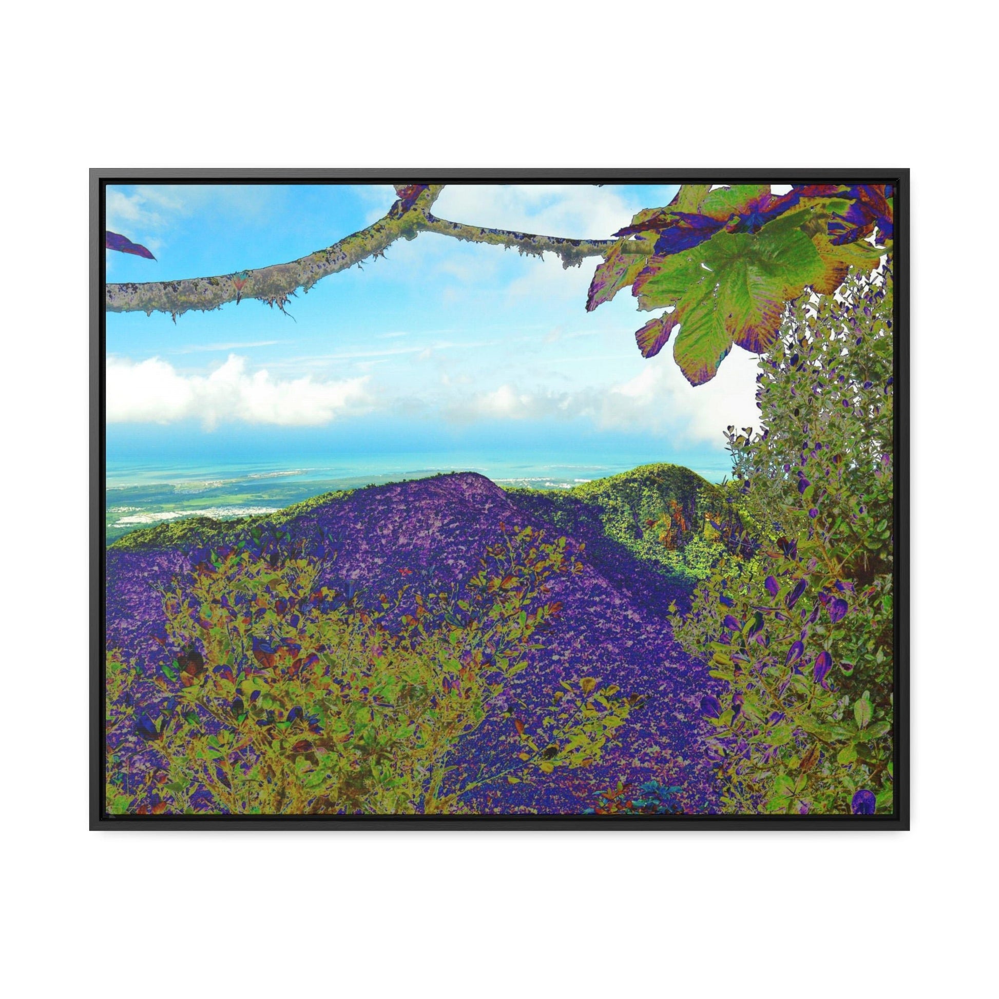 Rainforest Trails & Views - Gallery Canvas Wraps, Horizontal Frame - El Yunque National Forest - Puerto Rico - View from Tres Picachos - color enhanced - Green Forest Home