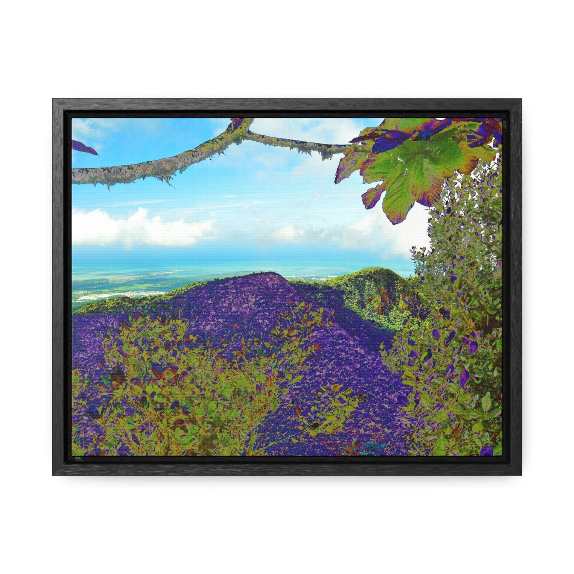 Rainforest Trails & Views - Gallery Canvas Wraps, Horizontal Frame - El Yunque National Forest - Puerto Rico - View from Tres Picachos - color enhanced - Green Forest Home