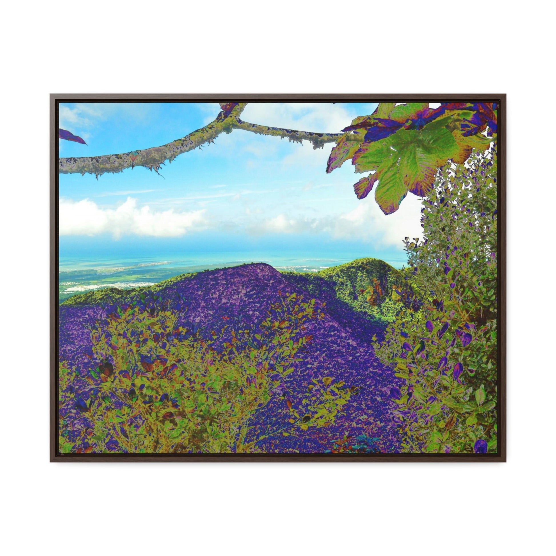 Rainforest Trails & Views - Gallery Canvas Wraps, Horizontal Frame - El Yunque National Forest - Puerto Rico - View from Tres Picachos - color enhanced - Green Forest Home