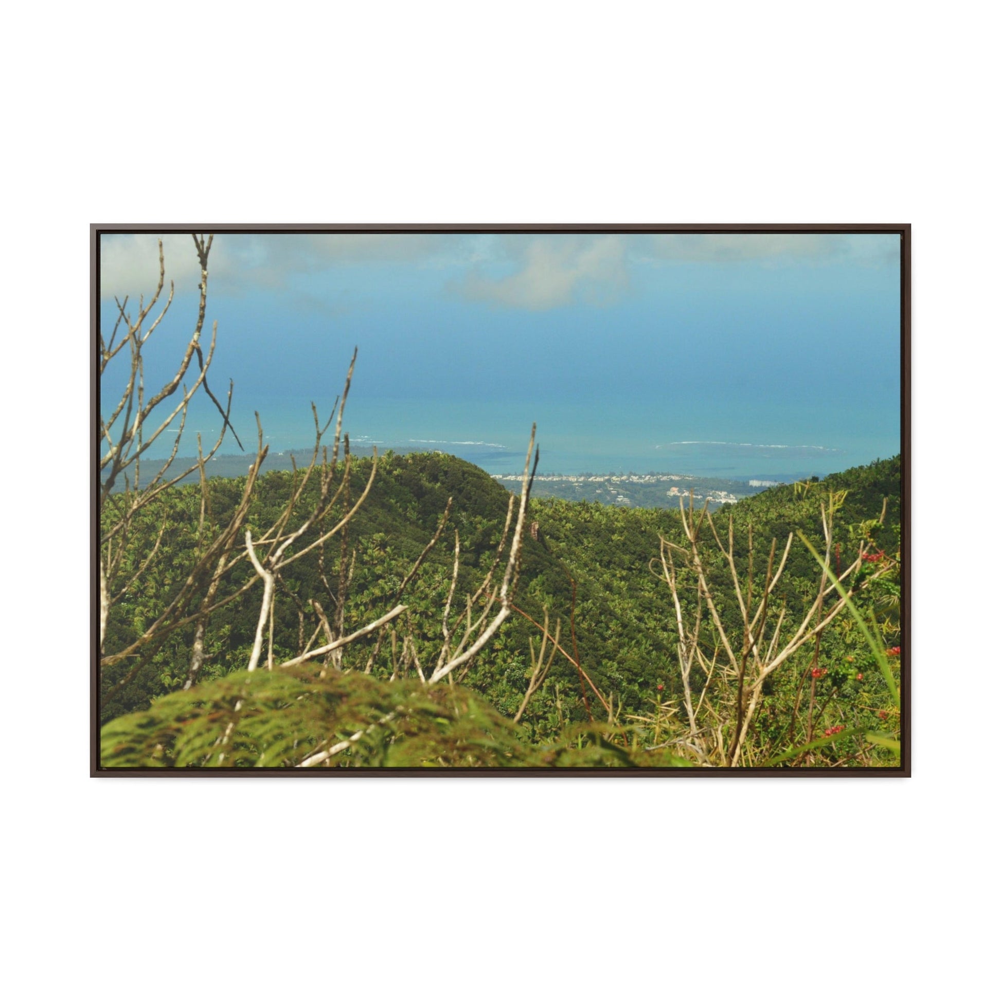 Rainforest Trails & Views - Gallery Canvas Wraps, Horizontal Frame - El Yunque National Forest - Puerto Rico - View from Tres Picachos - El Yunque Trail - Green Forest Home