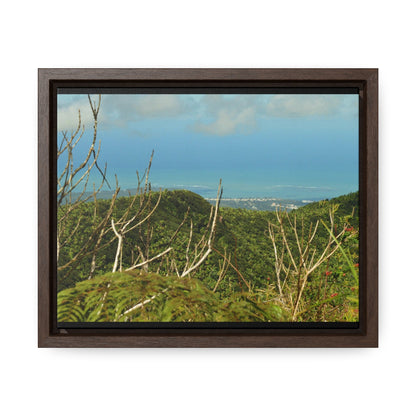 Rainforest Trails & Views - Gallery Canvas Wraps, Horizontal Frame - El Yunque National Forest - Puerto Rico - View from Tres Picachos - El Yunque Trail - Green Forest Home