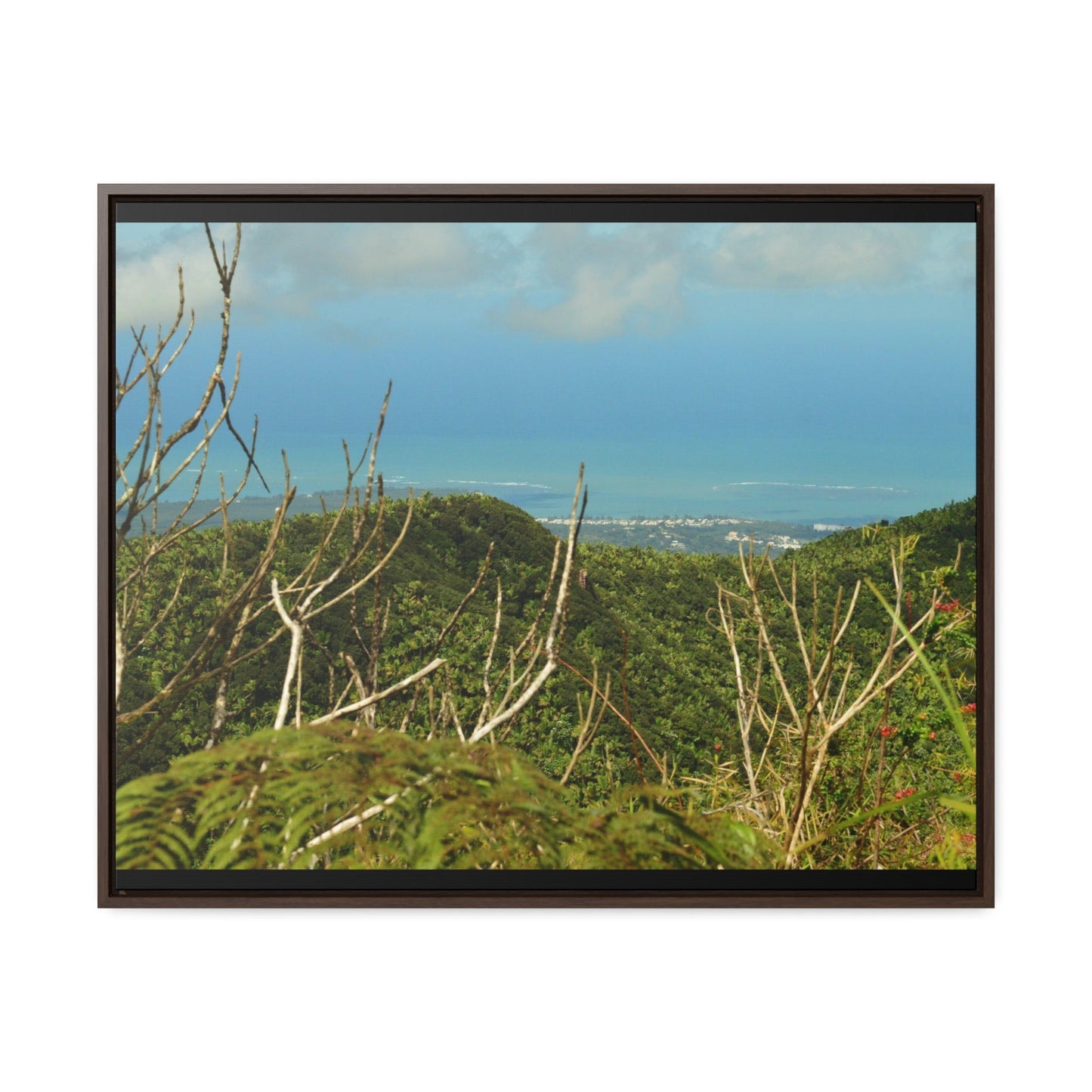 Rainforest Trails & Views - Gallery Canvas Wraps, Horizontal Frame - El Yunque National Forest - Puerto Rico - View from Tres Picachos - El Yunque Trail - Green Forest Home