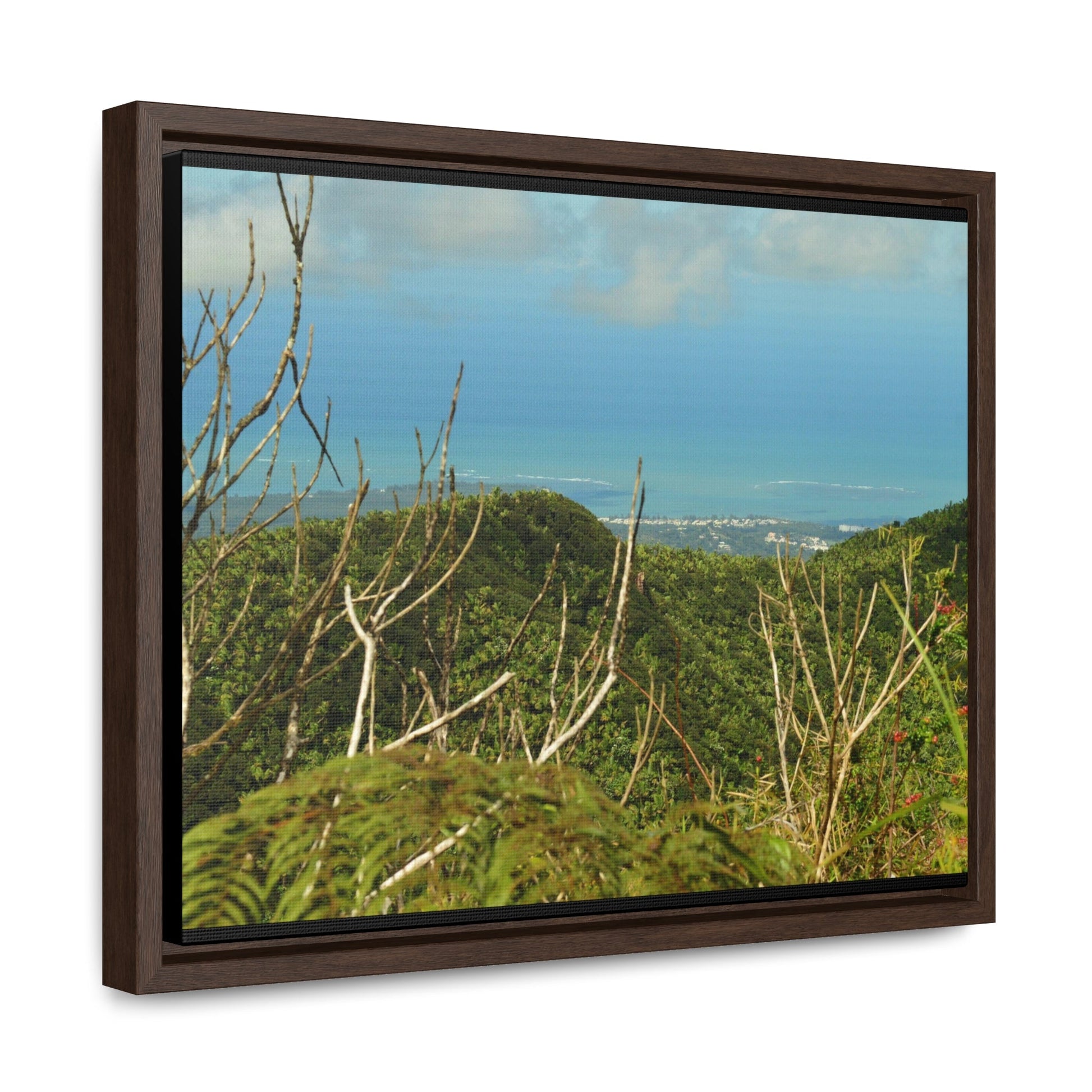 Rainforest Trails & Views - Gallery Canvas Wraps, Horizontal Frame - El Yunque National Forest - Puerto Rico - View from Tres Picachos - El Yunque Trail - Green Forest Home
