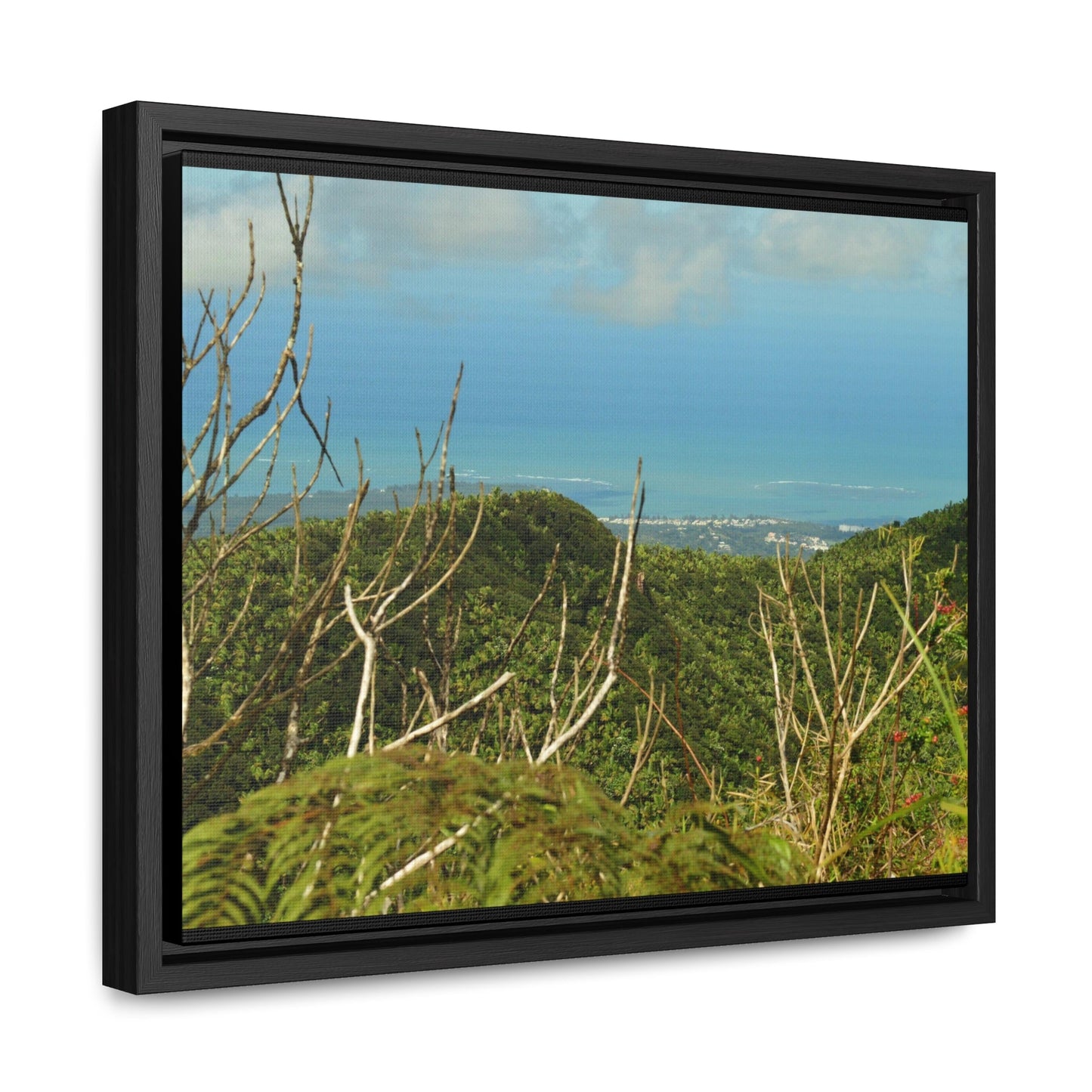 Rainforest Trails & Views - Gallery Canvas Wraps, Horizontal Frame - El Yunque National Forest - Puerto Rico - View from Tres Picachos - El Yunque Trail - Green Forest Home