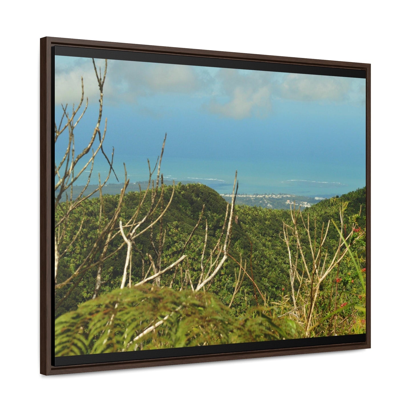 Rainforest Trails & Views - Gallery Canvas Wraps, Horizontal Frame - El Yunque National Forest - Puerto Rico - View from Tres Picachos - El Yunque Trail - Green Forest Home