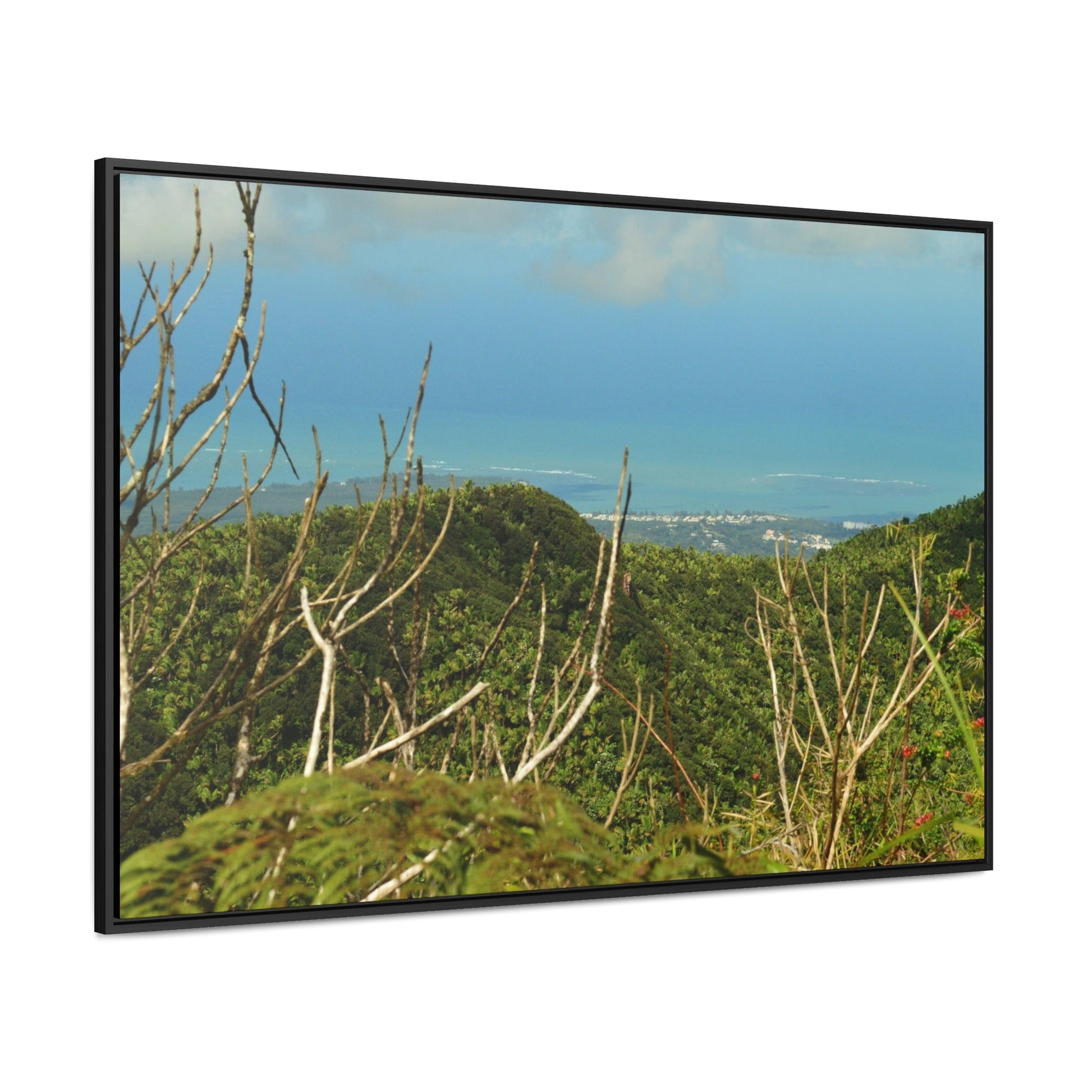 Rainforest Trails & Views - Gallery Canvas Wraps, Horizontal Frame - El Yunque National Forest - Puerto Rico - View from Tres Picachos - El Yunque Trail - Green Forest Home
