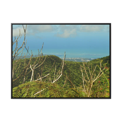 Rainforest Trails & Views - Gallery Canvas Wraps, Horizontal Frame - El Yunque National Forest - Puerto Rico - View from Tres Picachos - El Yunque Trail - Green Forest Home