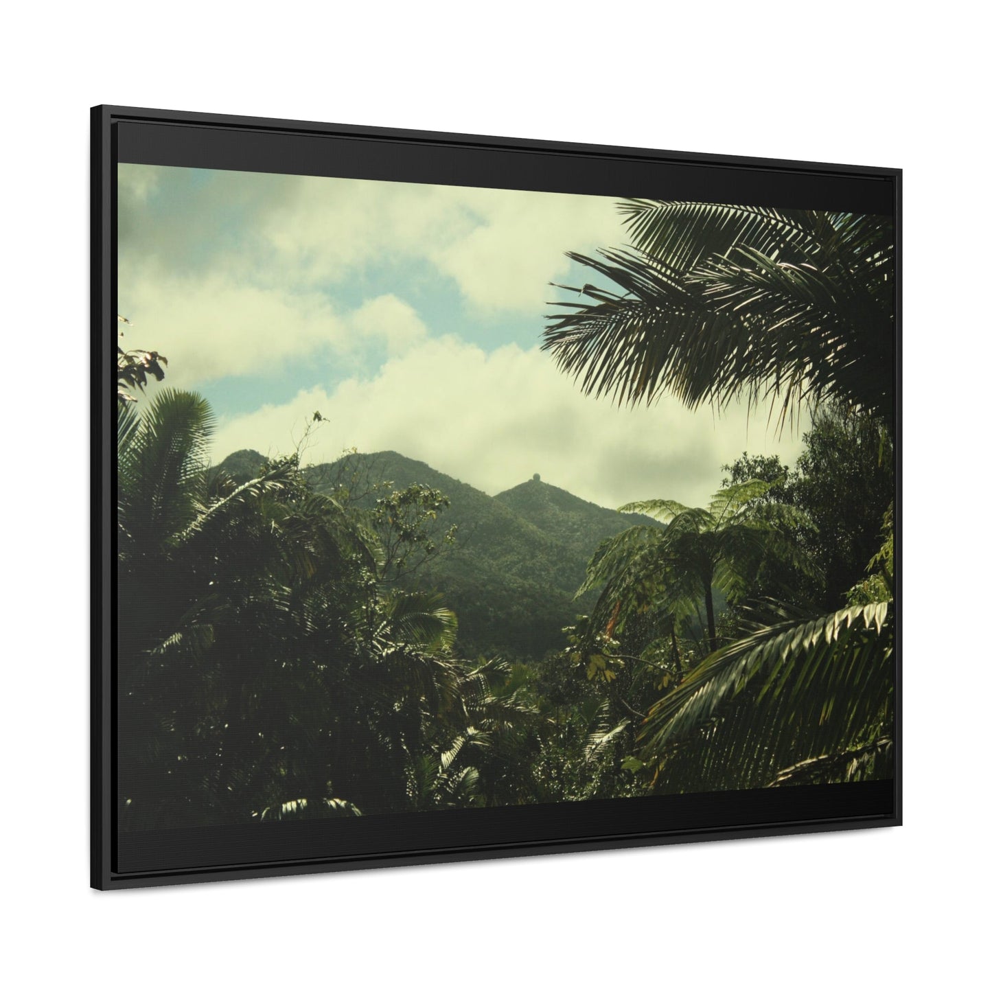 Rainforest Trails & Views - Gallery Canvas Wraps, Horizontal Frame - El Yunque National Forest - Puerto Rico - View of East Peak radars from closed road PR 191 - Green Forest Home