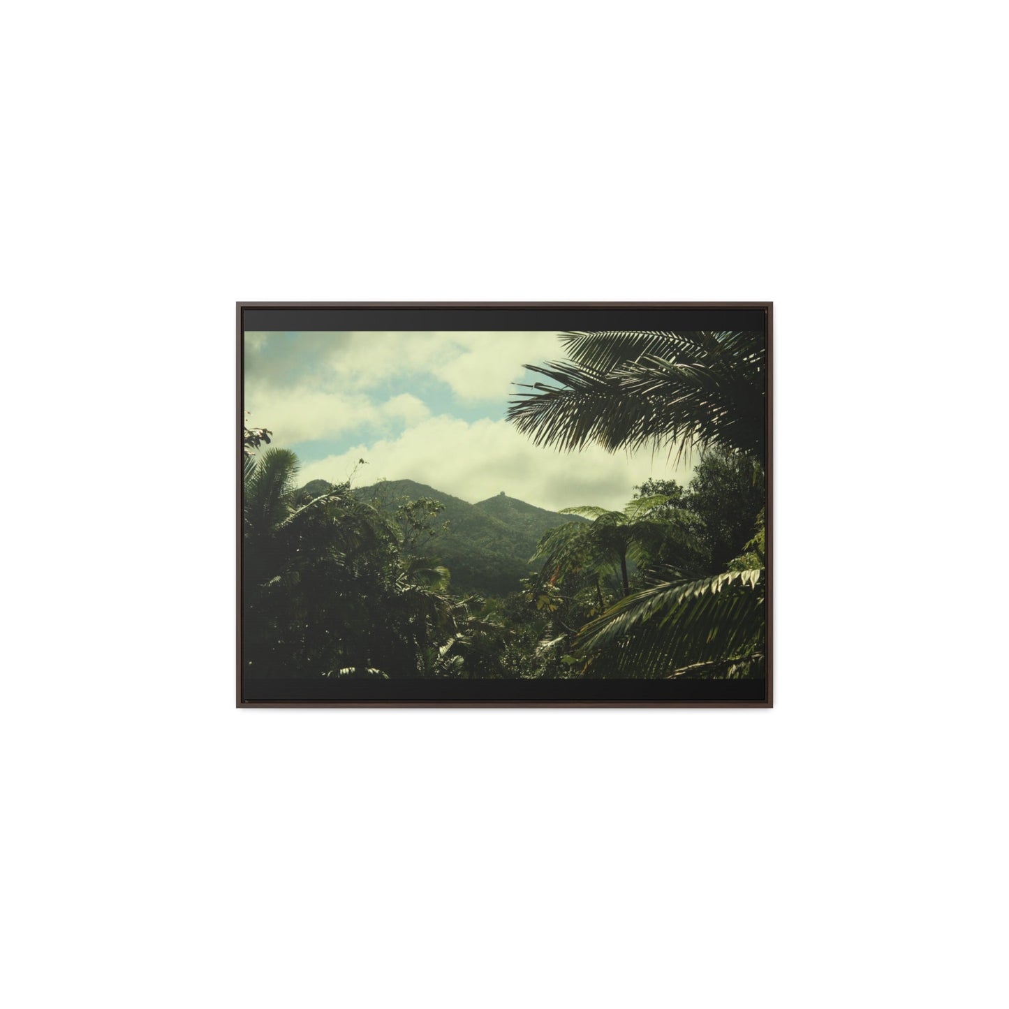 Rainforest Trails & Views - Gallery Canvas Wraps, Horizontal Frame - El Yunque National Forest - Puerto Rico - View of East Peak radars from closed road PR 191 - Green Forest Home