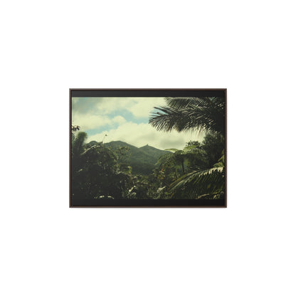 Rainforest Trails & Views - Gallery Canvas Wraps, Horizontal Frame - El Yunque National Forest - Puerto Rico - View of East Peak radars from closed road PR 191 - Green Forest Home