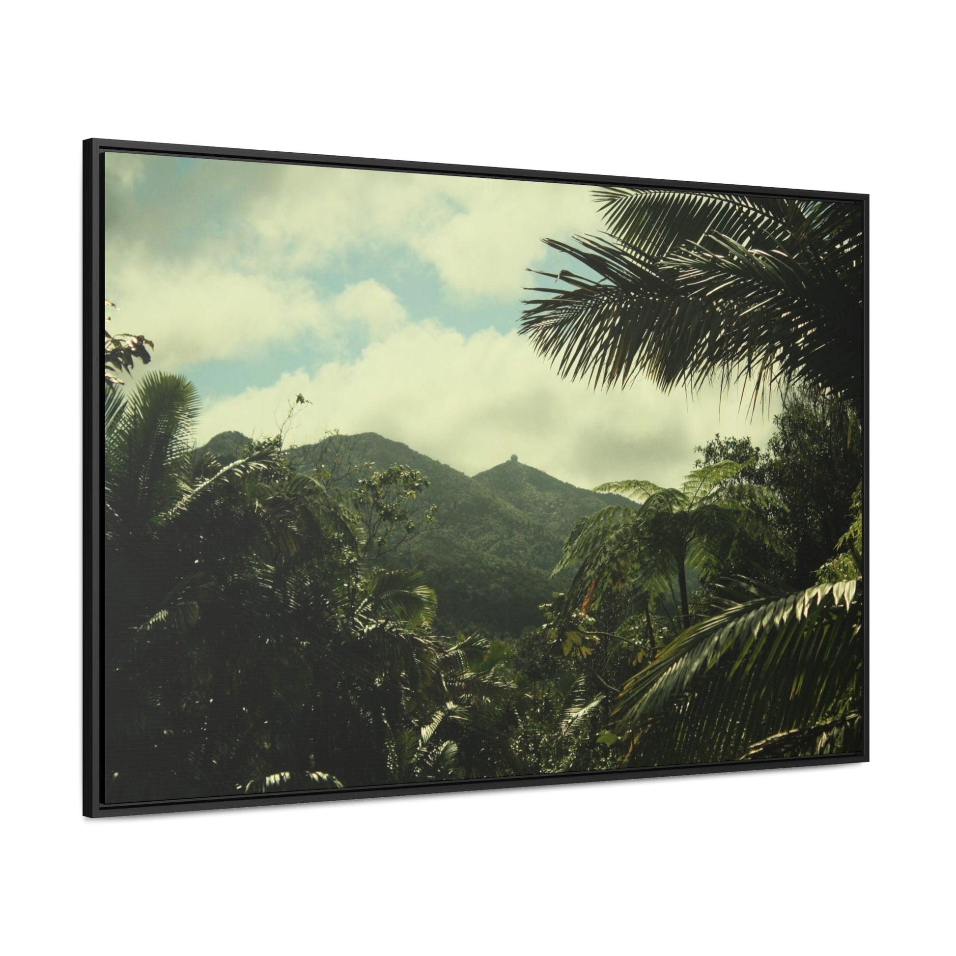 Rainforest Trails & Views - Gallery Canvas Wraps, Horizontal Frame - El Yunque National Forest - Puerto Rico - View of East Peak radars from closed road PR 191 - Green Forest Home