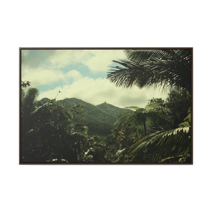 Rainforest Trails & Views - Gallery Canvas Wraps, Horizontal Frame - El Yunque National Forest - Puerto Rico - View of East Peak radars from closed road PR 191 - Green Forest Home