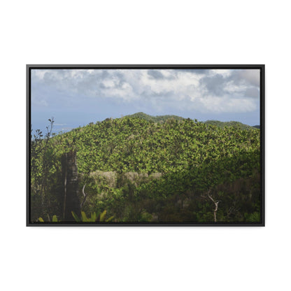Rainforest Trails & Views - Gallery Canvas Wraps, Horizontal Frame - El Yunque National Forest - Puerto Rico - View of East Peak road and the Sierra Palm forest - Green Forest Home
