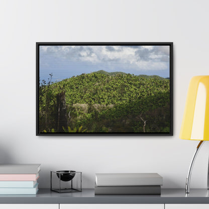 Rainforest Trails & Views - Gallery Canvas Wraps, Horizontal Frame - El Yunque National Forest - Puerto Rico - View of East Peak road and the Sierra Palm forest - Green Forest Home