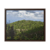 Rainforest Trails & Views - Gallery Canvas Wraps, Horizontal Frame - El Yunque National Forest - Puerto Rico - View of East Peak road and the Sierra Palm forest - Green Forest Home