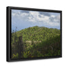 Rainforest Trails & Views - Gallery Canvas Wraps, Horizontal Frame - El Yunque National Forest - Puerto Rico - View of East Peak road and the Sierra Palm forest - Green Forest Home