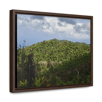Rainforest Trails & Views - Gallery Canvas Wraps, Horizontal Frame - El Yunque National Forest - Puerto Rico - View of East Peak road and the Sierra Palm forest - Green Forest Home