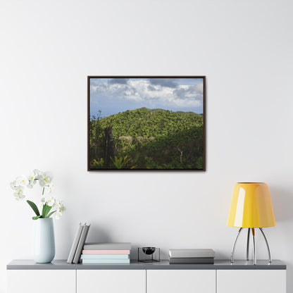Rainforest Trails & Views - Gallery Canvas Wraps, Horizontal Frame - El Yunque National Forest - Puerto Rico - View of East Peak road and the Sierra Palm forest - Green Forest Home