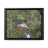 Rainforest Trails & Views - Gallery Canvas Wraps, Horizontal Frame - El Yunque National Forest - Puerto Rico - View of Rio Sabana - Green Forest Home
