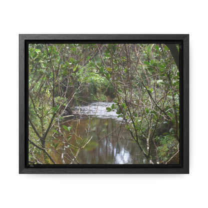 Rainforest Trails & Views - Gallery Canvas Wraps, Horizontal Frame - El Yunque National Forest - Puerto Rico - View of Rio Sabana - Green Forest Home