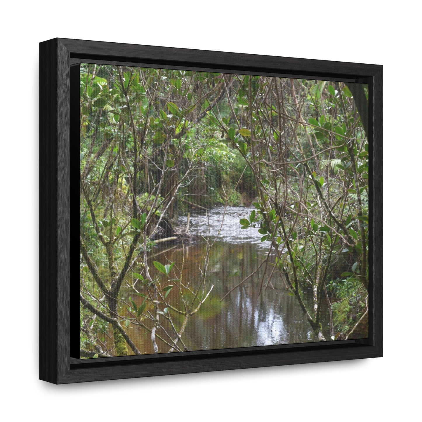 Rainforest Trails & Views - Gallery Canvas Wraps, Horizontal Frame - El Yunque National Forest - Puerto Rico - View of Rio Sabana - Green Forest Home