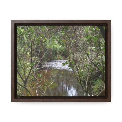 Rainforest Trails & Views - Gallery Canvas Wraps, Horizontal Frame - El Yunque National Forest - Puerto Rico - View of Rio Sabana - Green Forest Home