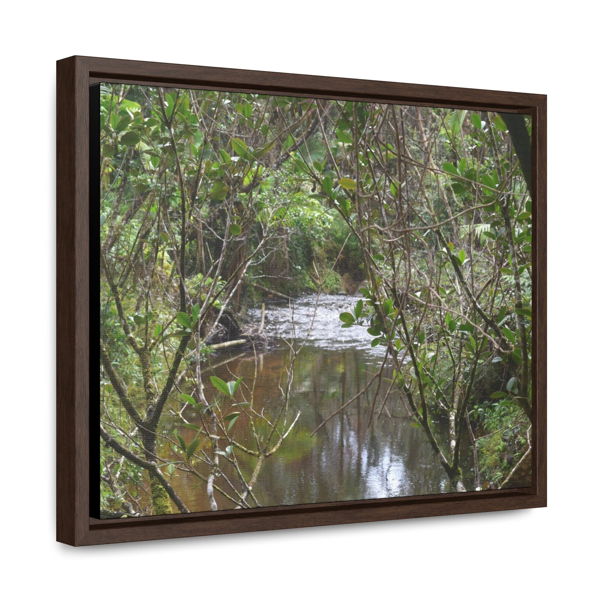 Rainforest Trails & Views - Gallery Canvas Wraps, Horizontal Frame - El Yunque National Forest - Puerto Rico - View of Rio Sabana - Green Forest Home