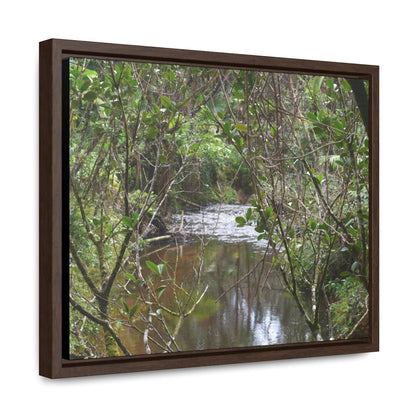 Rainforest Trails & Views - Gallery Canvas Wraps, Horizontal Frame - El Yunque National Forest - Puerto Rico - View of Rio Sabana - Green Forest Home