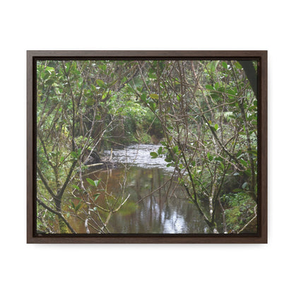 Rainforest Trails & Views - Gallery Canvas Wraps, Horizontal Frame - El Yunque National Forest - Puerto Rico - View of Rio Sabana - Green Forest Home