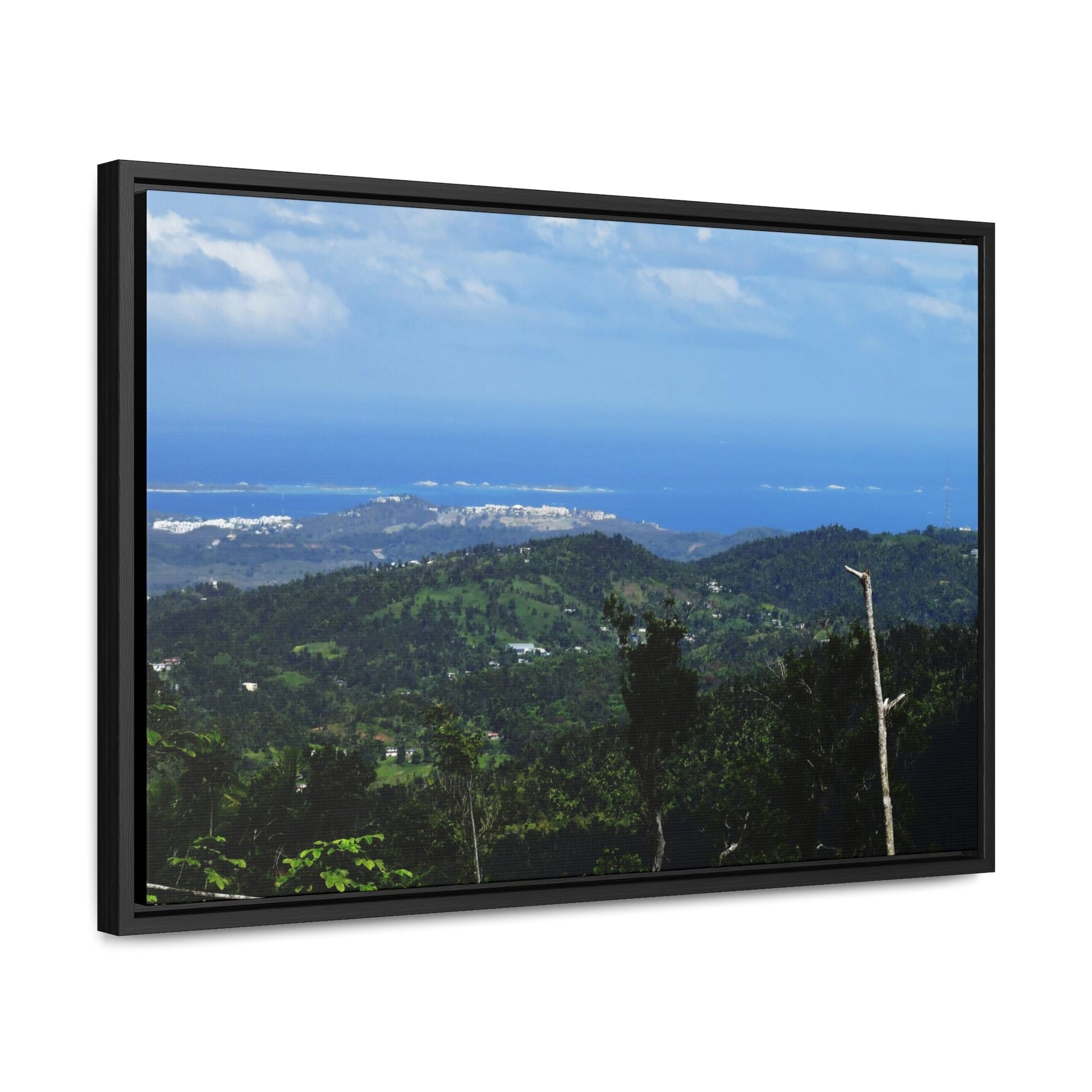 Rainforest Trails & Views - Gallery Canvas Wraps, Horizontal Frame - El Yunque National Forest - Puerto Rico - View of the coast from main road PR 191 - Green Forest Home