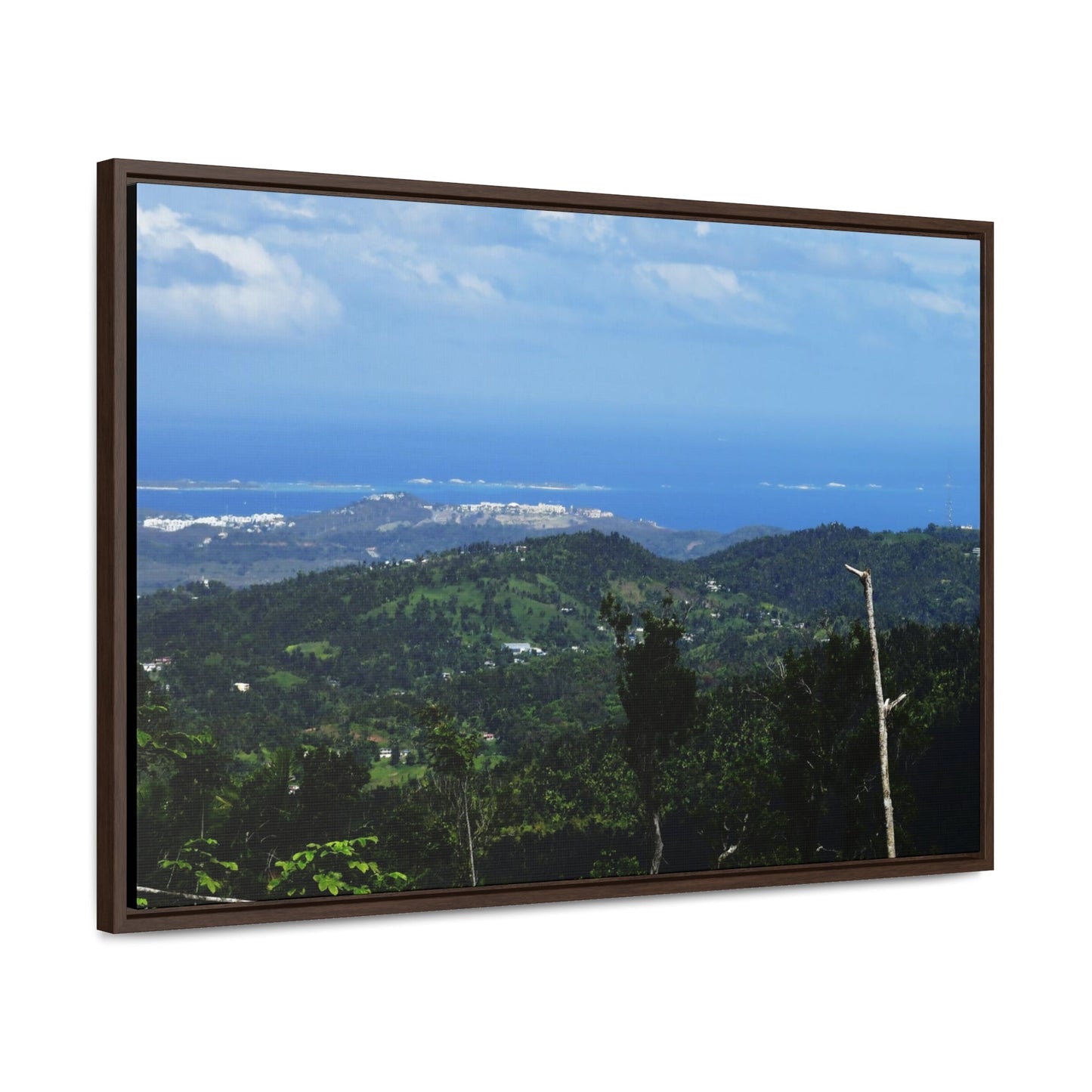 Rainforest Trails & Views - Gallery Canvas Wraps, Horizontal Frame - El Yunque National Forest - Puerto Rico - View of the coast from main road PR 191 - Green Forest Home