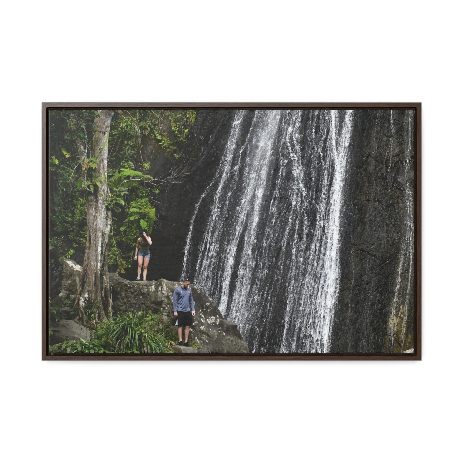 Rainforest Trails & Views - Gallery Canvas Wraps, Horizontal Frame - El Yunque National Forest - Puerto Rico - Visitors explore La Coca Falls in PR 191 - Green Forest Home