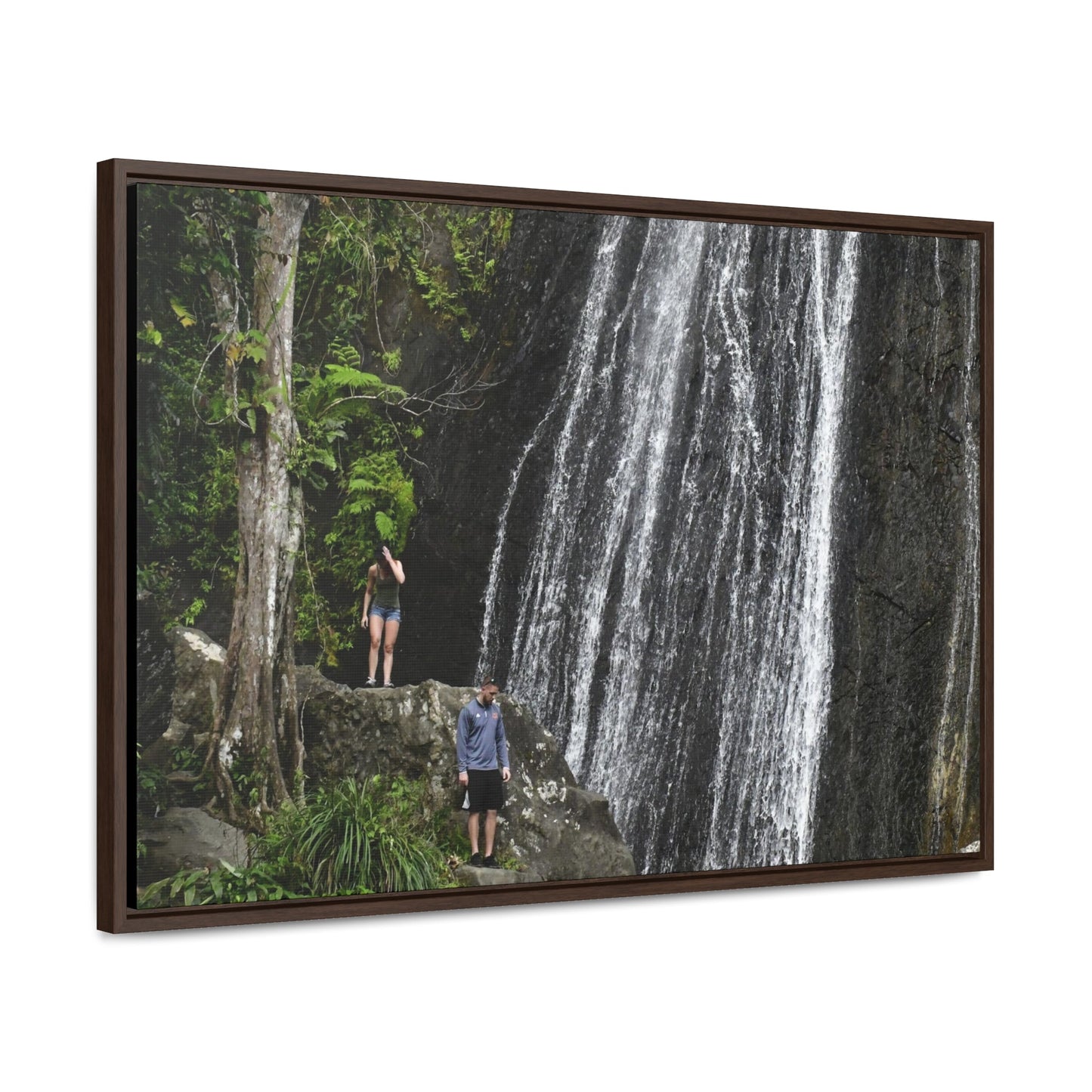 Rainforest Trails & Views - Gallery Canvas Wraps, Horizontal Frame - El Yunque National Forest - Puerto Rico - Visitors explore La Coca Falls in PR 191 - Green Forest Home