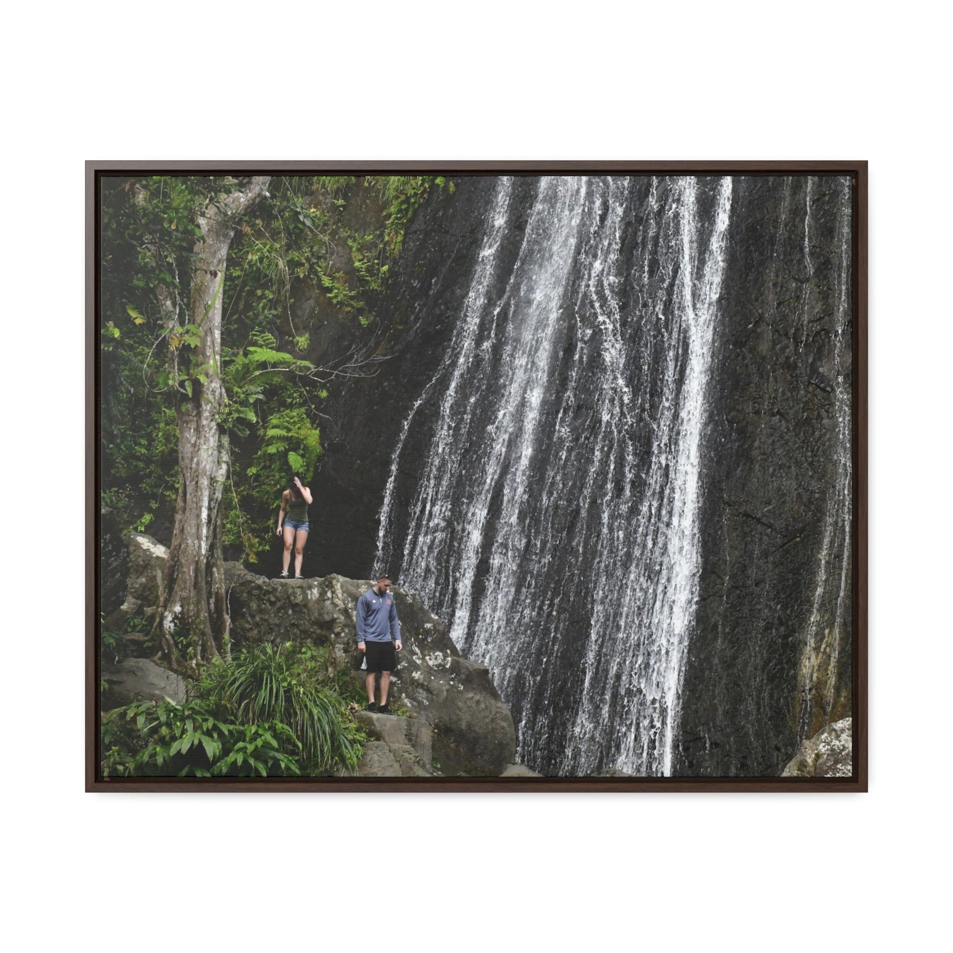 Rainforest Trails & Views - Gallery Canvas Wraps, Horizontal Frame - El Yunque National Forest - Puerto Rico - Visitors explore La Coca Falls in PR 191 - Green Forest Home