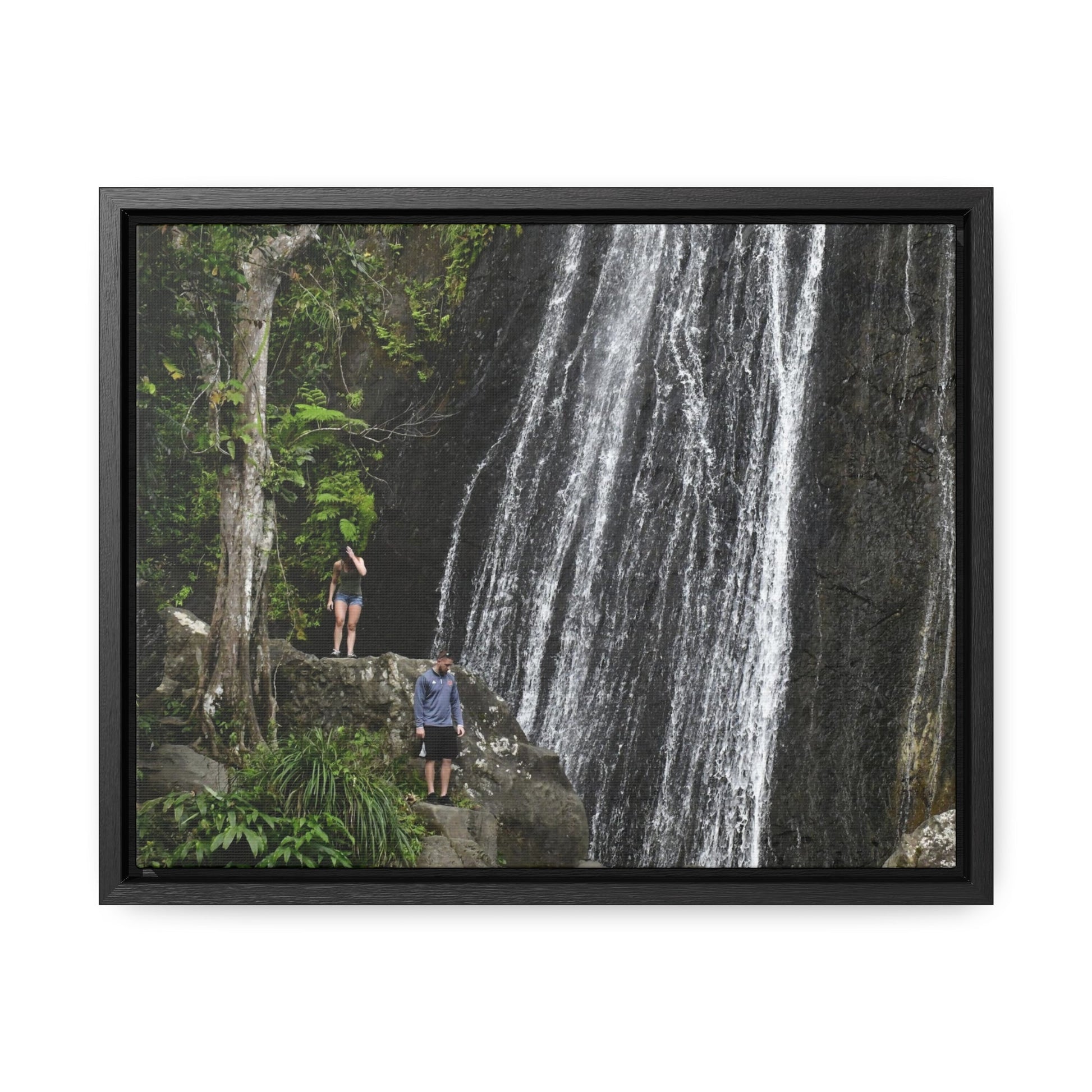 Rainforest Trails & Views - Gallery Canvas Wraps, Horizontal Frame - El Yunque National Forest - Puerto Rico - Visitors explore La Coca Falls in PR 191 - Green Forest Home