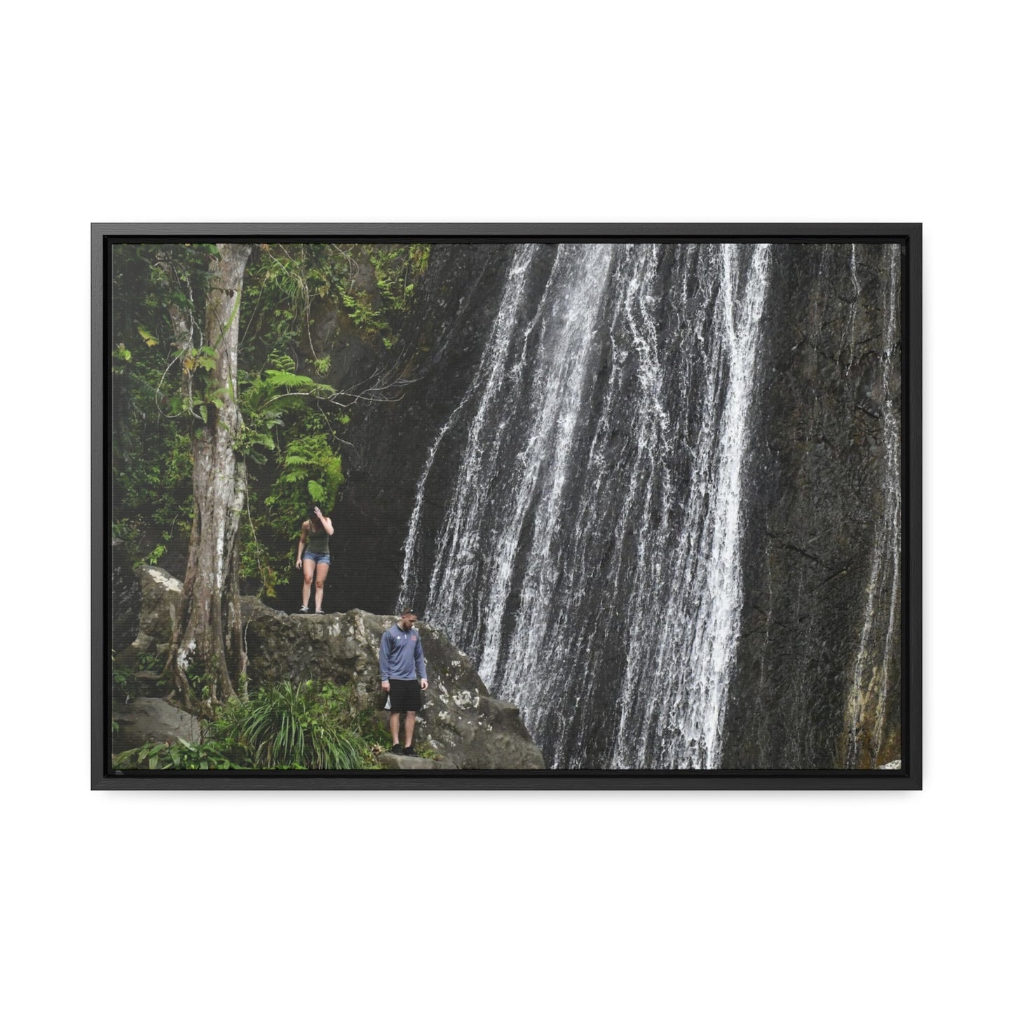Rainforest Trails & Views - Gallery Canvas Wraps, Horizontal Frame - El Yunque National Forest - Puerto Rico - Visitors explore La Coca Falls in PR 191 - Green Forest Home