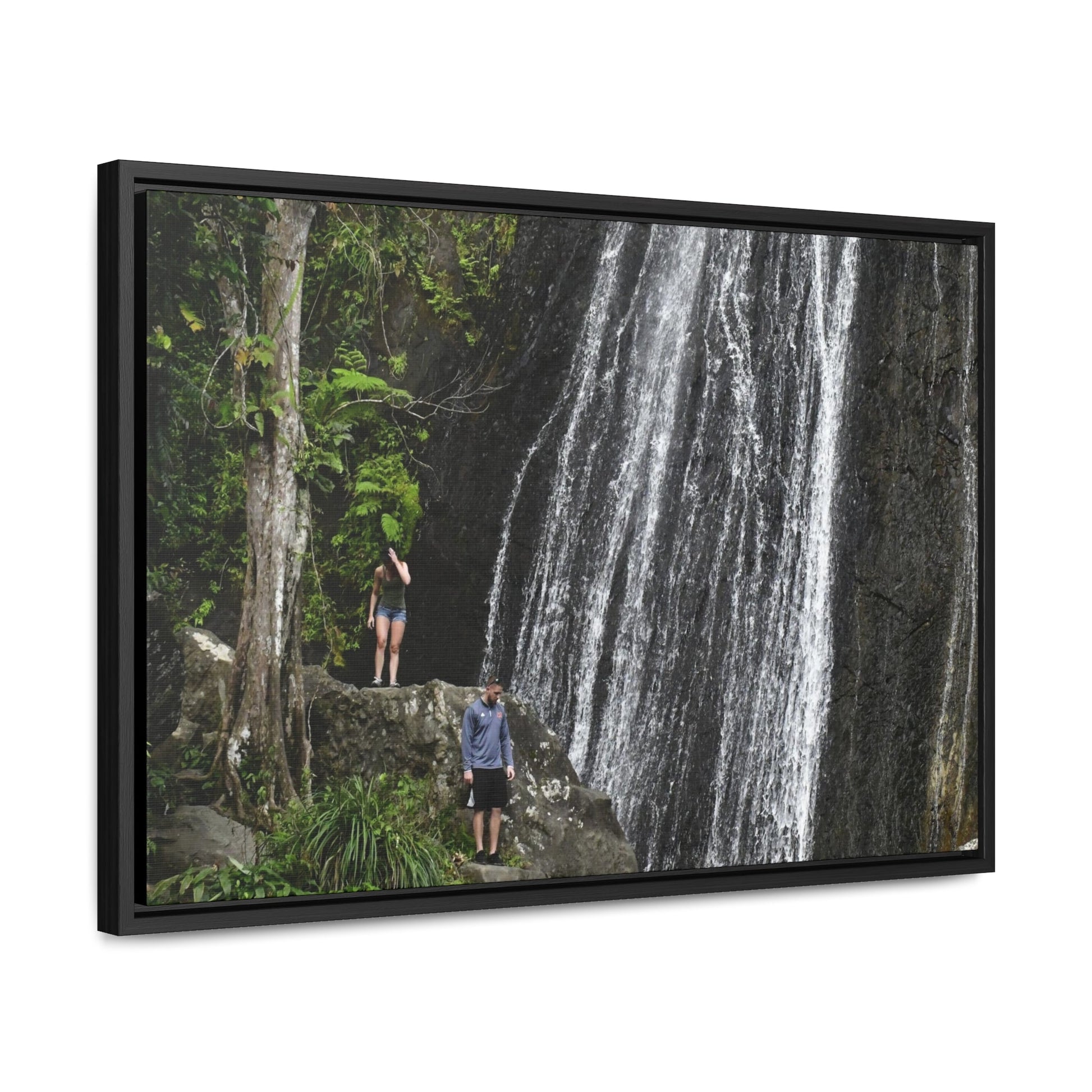 Rainforest Trails & Views - Gallery Canvas Wraps, Horizontal Frame - El Yunque National Forest - Puerto Rico - Visitors explore La Coca Falls in PR 191 - Green Forest Home