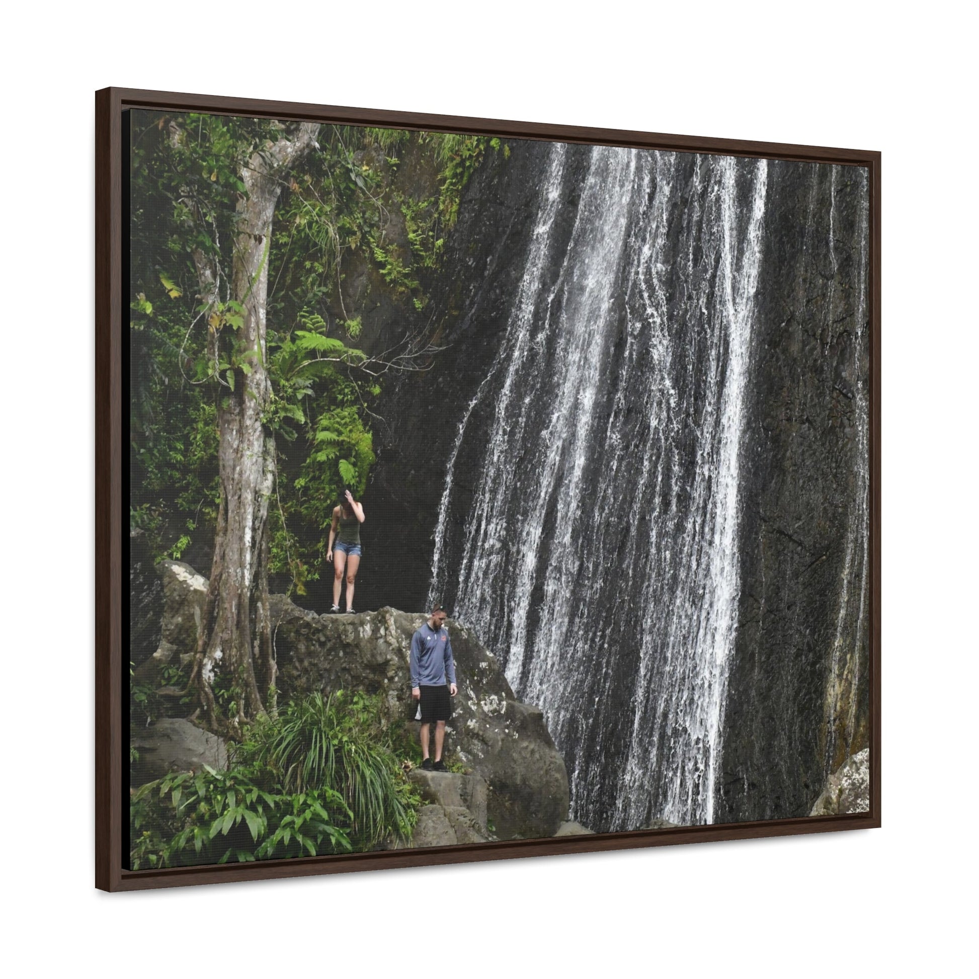 Rainforest Trails & Views - Gallery Canvas Wraps, Horizontal Frame - El Yunque National Forest - Puerto Rico - Visitors explore La Coca Falls in PR 191 - Green Forest Home