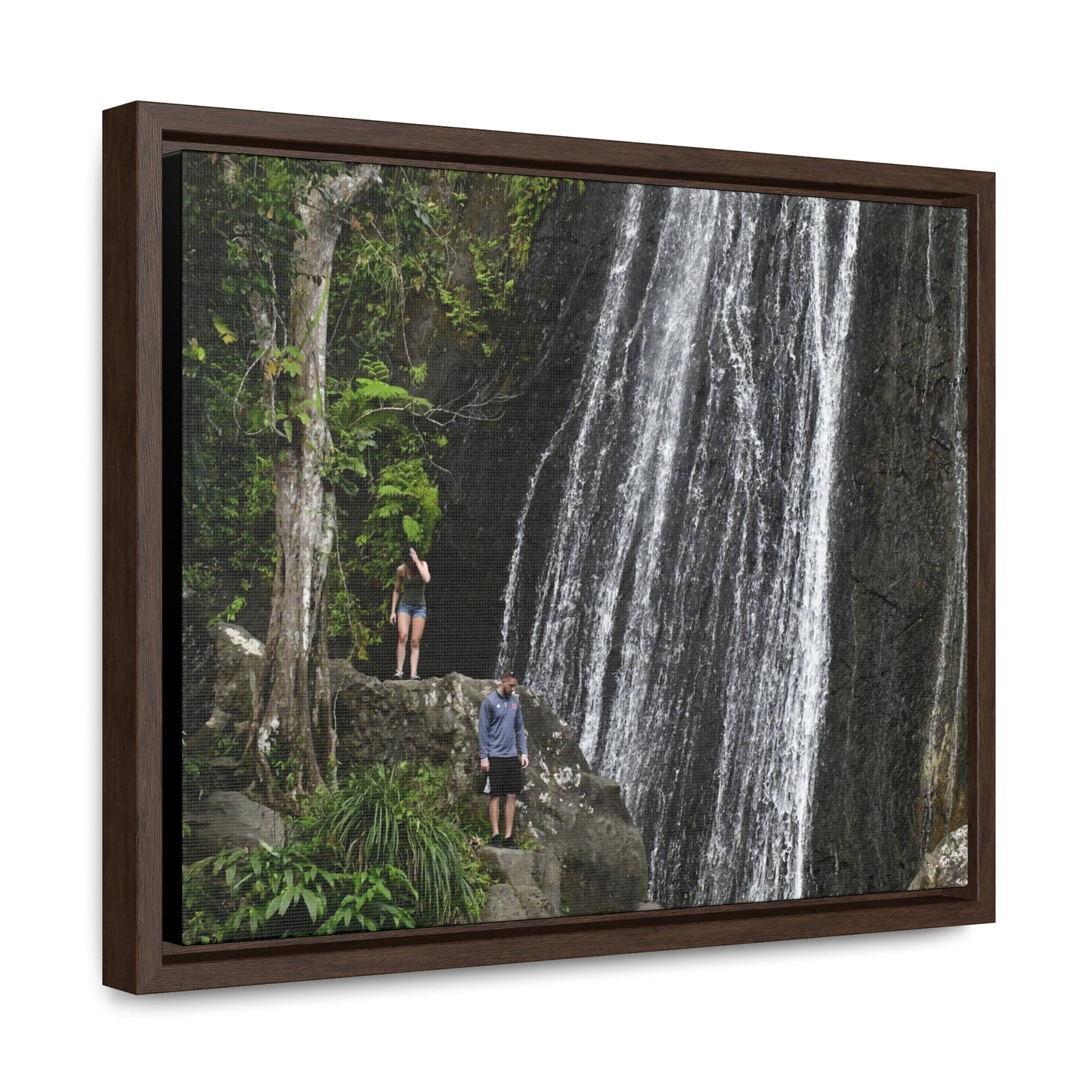 Rainforest Trails & Views - Gallery Canvas Wraps, Horizontal Frame - El Yunque National Forest - Puerto Rico - Visitors explore La Coca Falls in PR 191 - Green Forest Home