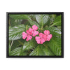 Rainforest Trails & Views - Gallery Canvas Wraps, Horizontal Frame - El Yunque National Forest - Rio Sabana Lovely Miramelinda flower - Green Forest Home