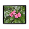 Rainforest Trails & Views - Gallery Canvas Wraps, Horizontal Frame - El Yunque National Forest - Rio Sabana Lovely Miramelinda flower - Green Forest Home