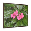 Rainforest Trails & Views - Gallery Canvas Wraps, Horizontal Frame - El Yunque National Forest - Rio Sabana Lovely Miramelinda flower - Green Forest Home